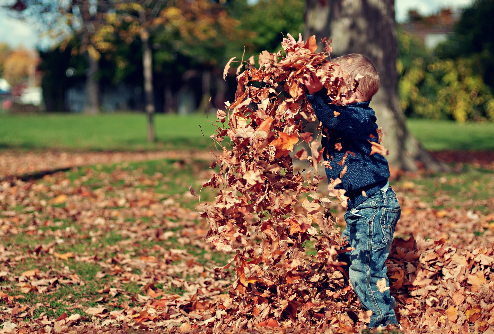 Actividades para Niños en Barcelona