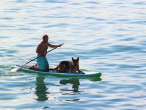 Paddle Surf en Barcelona