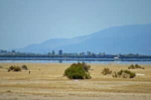 Parque Natural del Delta del Ebro